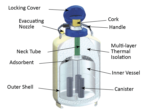 Liquid Nitrogen Tank Structure Liquid Nitrogen Tank Structure