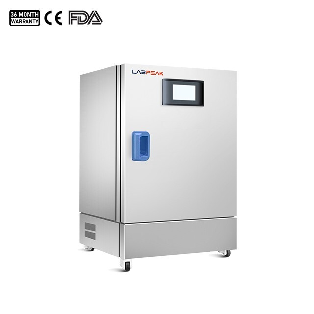 Constant Temperature Incubator