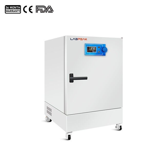 Drying Oven/Incubator (Dual-use) Constant Temperature